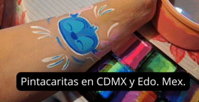 pintacaritas en cdmx y Estado de México
