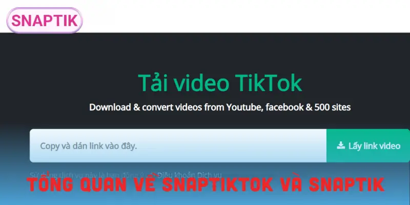 snaptiktok-vs-snaptik-gioi-thieu