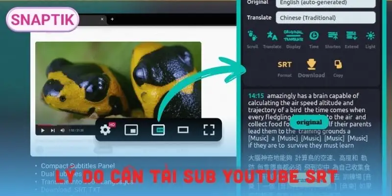 tai-sub-youtube-srt-vi-sao-can