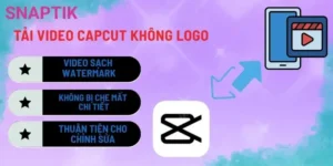 Tải Video Pinterest – Siêu Nhanh, Giữ Nguyên Chất Lượng