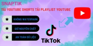 Tải Sub YouTube SRT – Xuất Phụ Đề Video Tự Động