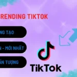 video-trending-tiktok